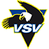 VSV logo