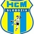 CSM Unirea Slobozia logo