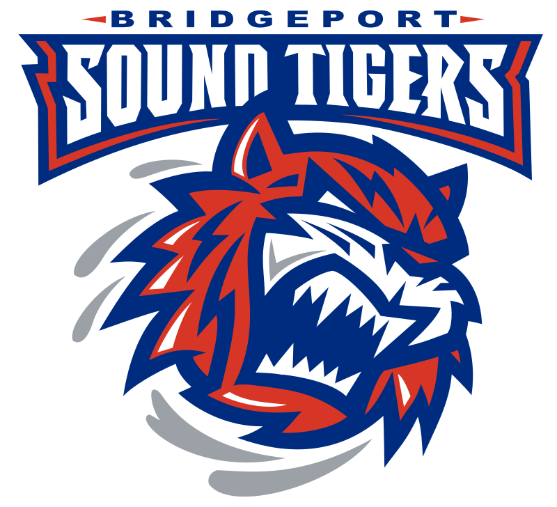 Bridgeport Islanders logo