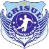 Chisineu-Cris logo
