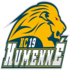 team logo