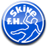 Skive logo