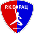 RK Borac Banja Luka logo